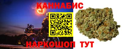 спиды Кингисепп