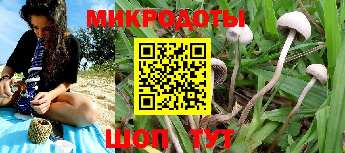 Кузнецк  Псилоцибиновые грибы мухоморы  Вход с VPN 