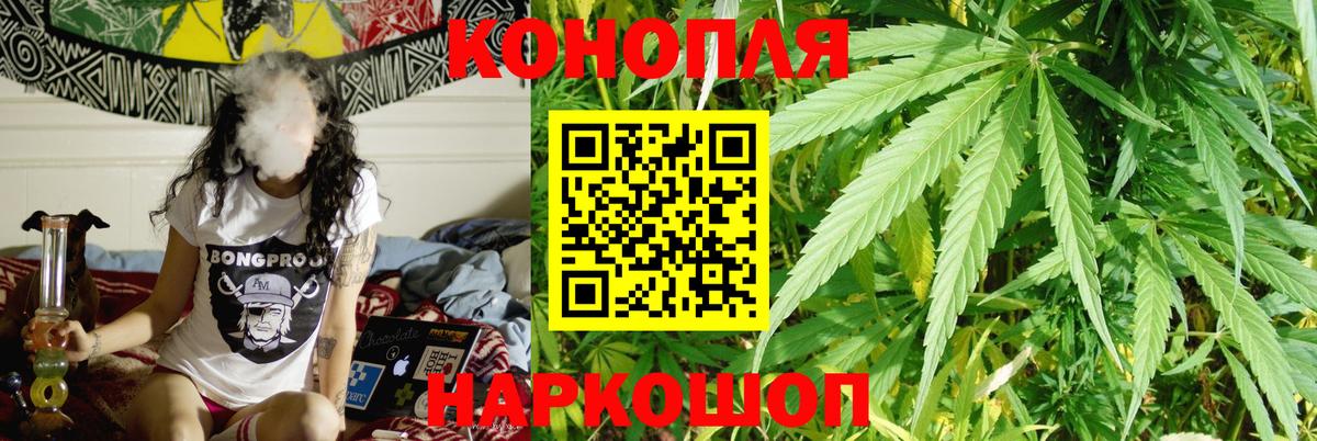 Псилоцибиновые грибы Кузнецк